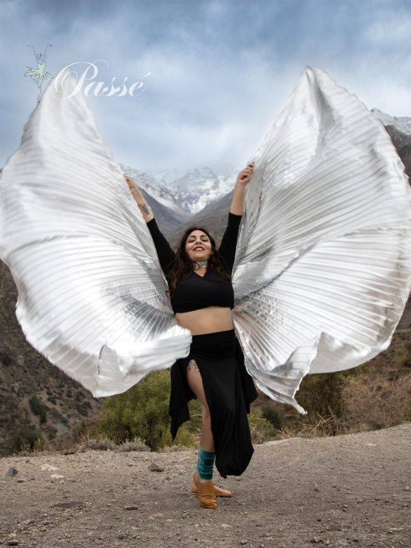 Alas de Isis Plateada - Imagen 2